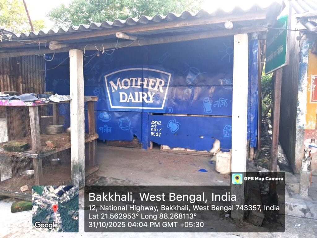Mother Dairy Shop Paintings