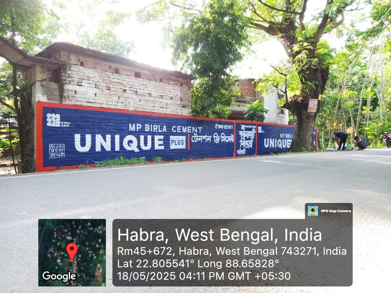 birla unique plus wall paintings
